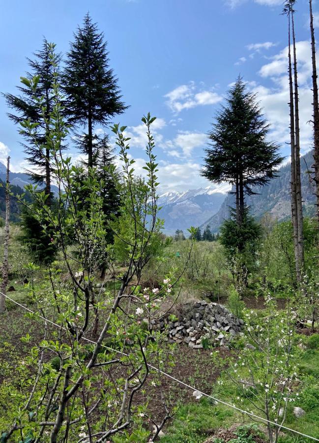 Getaway Stays Manali Exteriér fotografie